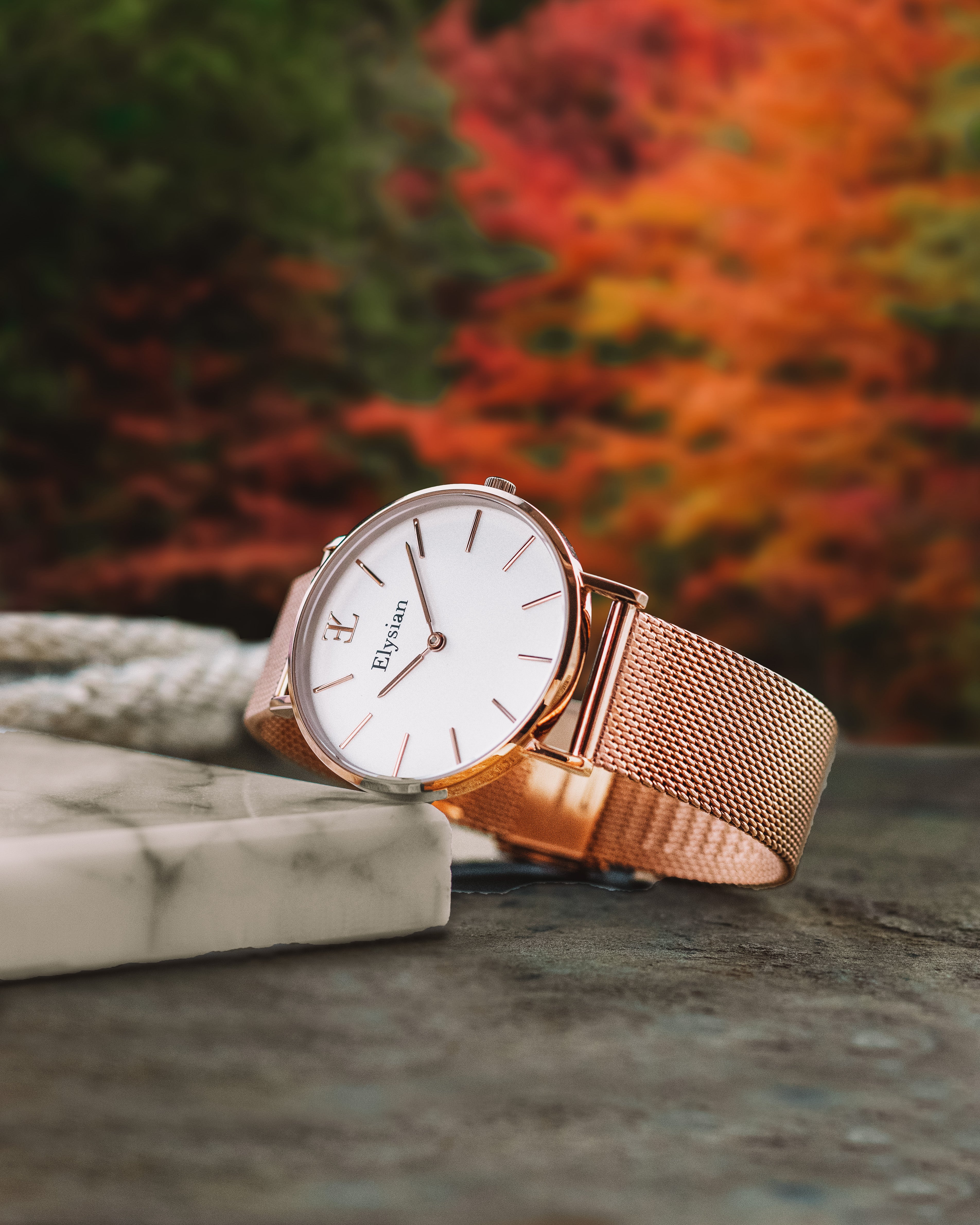 elysian-rose-gouden-dames-horloge-wit-plaat-rose-gouden-mesh-horlogeband-ELY01220-extra3