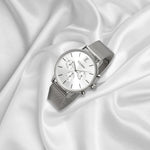elysian-zilveren-dames-crono-horloge-zilver-plaat-zilver-mesh-horlogeband-ELYWW12311-other